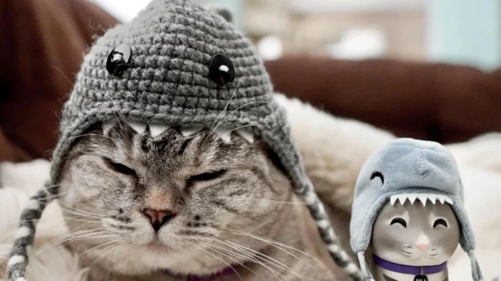 Source of Joy and Comfort Meet Nala Cat The Instagram Star With A Ton Of Fo - Tymoff