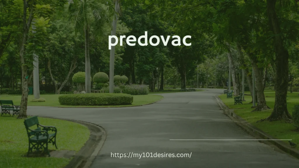 Predovac